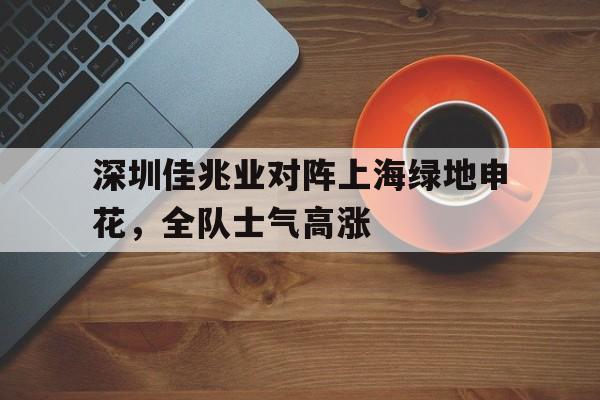 深圳佳兆业对阵上海绿地申花，全队士气高涨的简单介绍